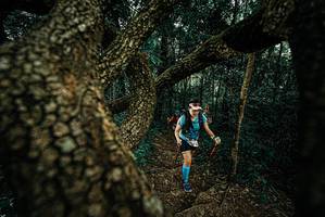 BIB: 
                            <button type="button" onclick="openModal(25698016)" class="btn btn-primary btn-sm float-right btn-popup" data-toggle="modal" data-target=".modal-high-quality">
                        <i class="fas fa-shopping-cart"></i> Add to Cart
                    </button>
                                            <button type="button" onclick="isThisMe(25698016, true)" class="btn btn-success btn-sm float-right btn-popup btn-isme hidden" data-toggle="tooltip" data-placement="bottom" title="นี่คือรูปของคุณใช่ไหม คลิกที่นี่เพื่อเอาเข้าอัลบั้ม">
                        <i class="fas fa-plus"></i> Add to album
                    </button>
                    <button type="button" onclick="isThisMe(25698016, false)" class="btn btn-warning btn-sm float-right btn-popup btn-isnotme hidden">
                        <i class="fas fa-ban"></i> Remove from album
                    </button>